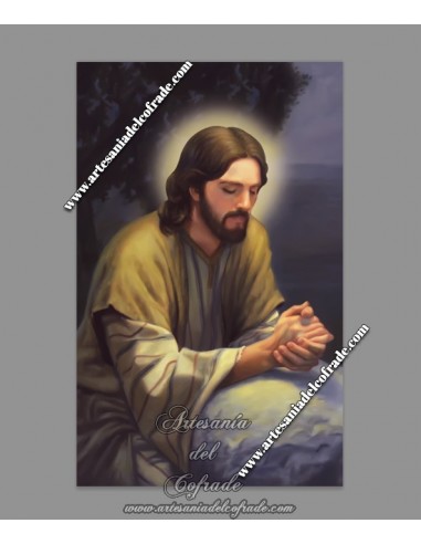 Se vende este azulejo rectangular de Jesús orando, solo en venta en nuestra tienda de articulos religiosos
