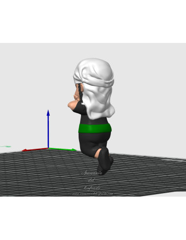 Sony Costalerita con trenza morena – Faja verde...